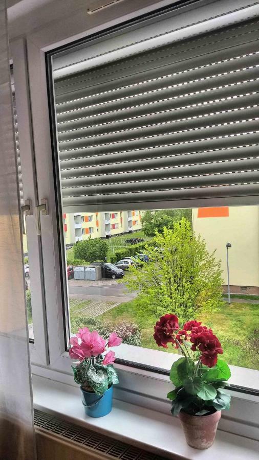 Komfort Ferienwohnungen Zwenkauer See Exteriör bild